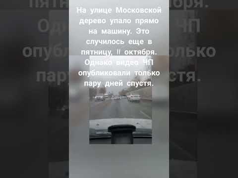 Новости Екатеринбурга #e1.ru