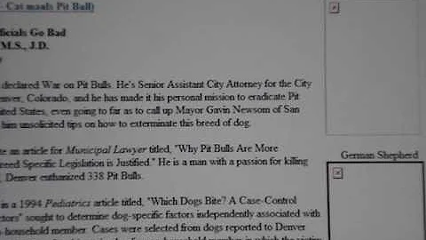 Kory Nelson, Denver City Attorney, is a hypocrit