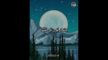 يَوْمَ تَرَى ٱلْمُؤْمِنِينَ // الشيخ رزكار محمد الكردي - آيات من كتاب الله
