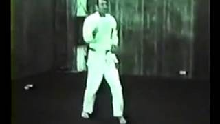 Isshin Ryu Karate Warmups, Basics, Kata (1970's)