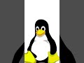 Linux Basic Commands Every User Should Know | Part-2 | Clarusway #shorts