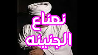 نعناع الجنينه الأصلية   سيد الركابى