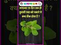 15 दिन तक तुलसी पत्ता चबाने से क्या ठीक होता है ? |#gkfacts#staticgk #bkgkstudy #gkinhindi