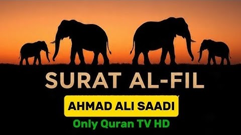 Surah Al-Fil (The Elephant) | Ahmad Ali Saadi | | احمد علي سعدي | سورة الفيل | 