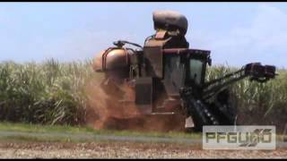 Cane Harvesting And Cane Trains [SD]