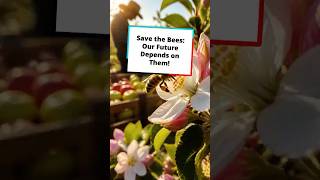Save the Bees: Our Future Depends on Them!
