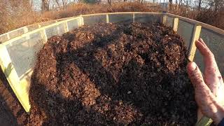 Winter Composting with Shredded Leaves