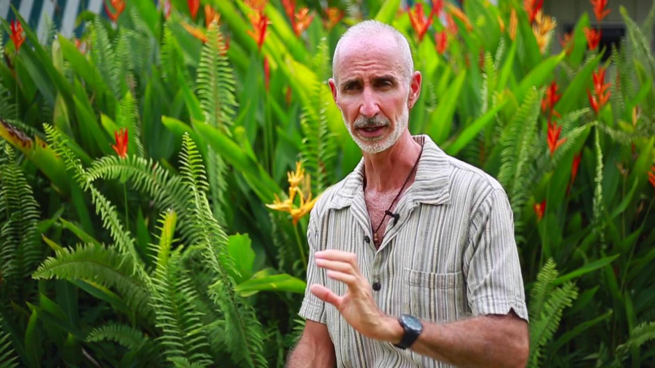 raw food materials Supplements