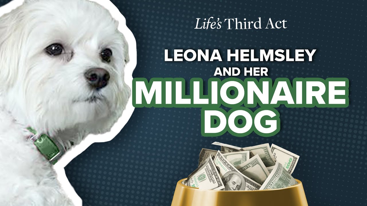Leona Helmsley & Her Millionaire Dog EP. 97 Life's Third Act YouTube