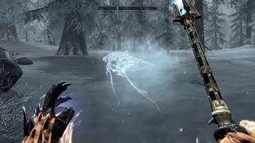Skyrim Up Close To An Ice Wraith