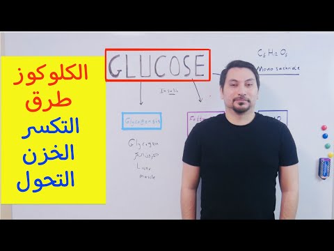 ماهو مصير السكر في الدم ، ما هي الطرق الخمسة Glucose Metabolism