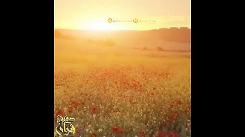 ما تيسر من سورة الزمر تلاوة تريح القلب ❤❤