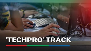 Techpro Track In Shs Curriculum, Explained Abs-Cbn News