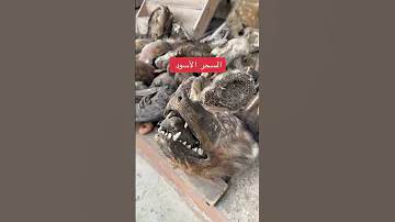 سوق السحر الاسود سحر سحر الاسود سوق 
