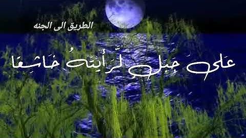 لو انزلنا هذا القران على جبل حالات وتس اب قران كريم مقاطع اسلامية 2021