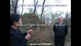 The Silent Toll of Modern Sensory Mismatch