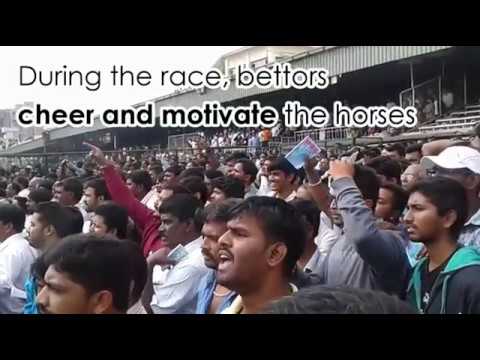 Horse racing in India- Betting and lot more!