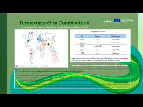 Implementación: Una visión General