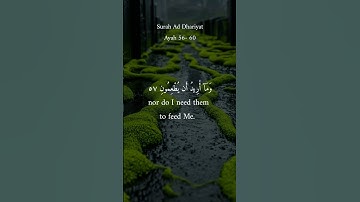 الشيخ ماهر المعيقلي | سورة الذاريات #القران #القاريء