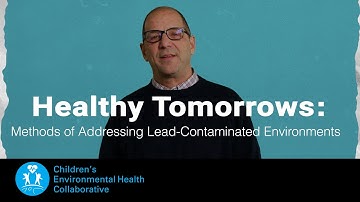 Healthy Tomorrows: Methods of Addressing Lead Contaminated Environments