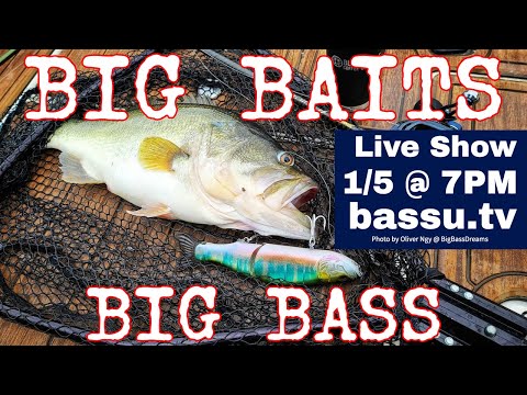 Swimbaits & Big Baits for Big Bass - January 2021