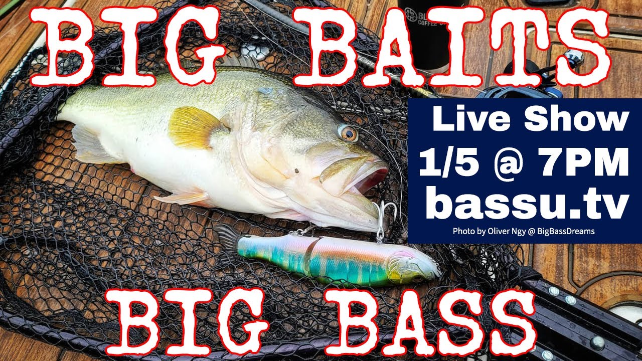 Fishing Swimbaits &Other Big Baits for Giant Bass 