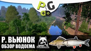 Русская Рыбалка 4 Река Вьюнок, Обзор водоема для новичков