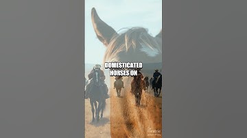 Whispers of Hooves: A Modern Insight into Horses