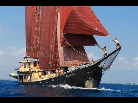Adelaar Indonesian Liveaboard Promo