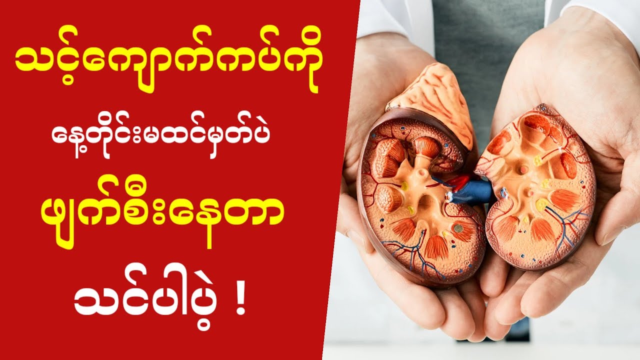 သင့်ရဲ့ကျောက်ကပ်ကို မထင်မှတ်ပဲ ဖျက်စီးနေတဲ့ အပြုမူ (၃) ချက်