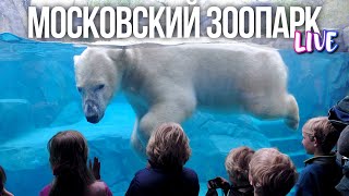 Центр Москвы – Московский Зоопарк