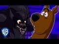 Scooby-Doo! | Scooby-Doo