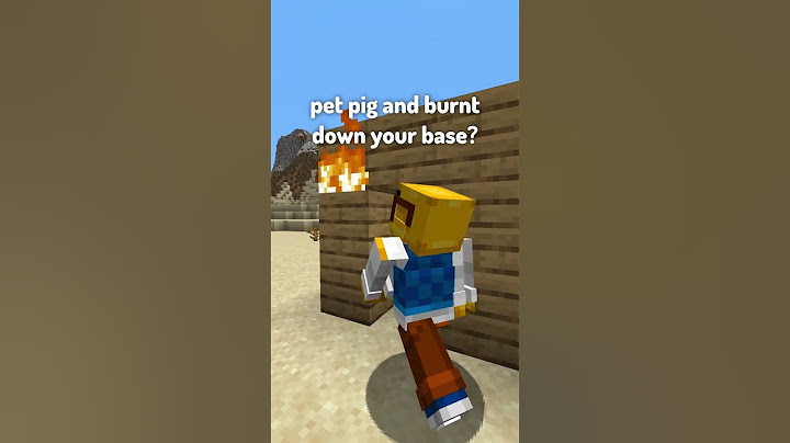 What would you do? (Minecraft Edition)