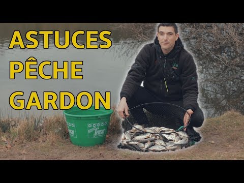 Vidéo: Comment Pêcher Dans Un étang