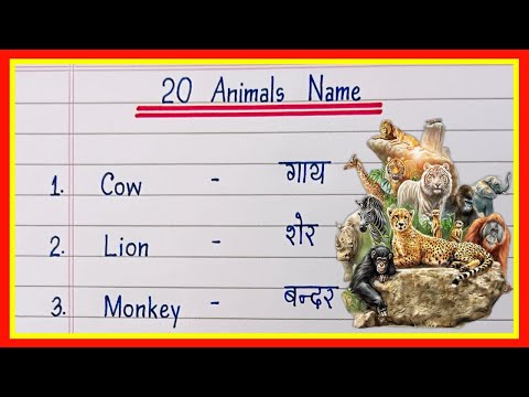 वीडियो: 14 कुत्ते के बारे में मूर्खतापूर्ण मिथक जो लोग अभी भी विश्वास करते हैं