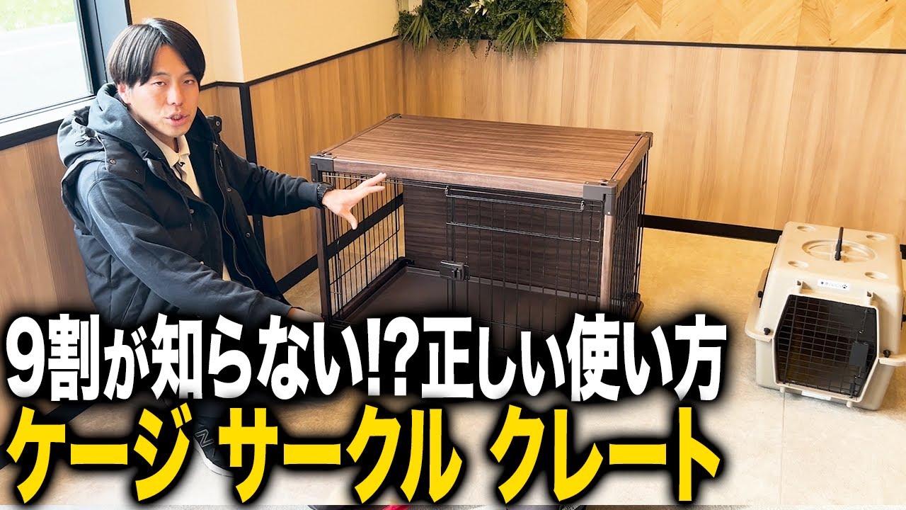 【犬飼育】9割の飼い主が知らないケージ、クレート、サークルの正しい使い方！コレが重要なんです...！