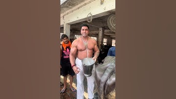 जाट भाई वीरेंद्र सिंह घुमान🦁⚔️  #jaat #jatt #jutt #shorts