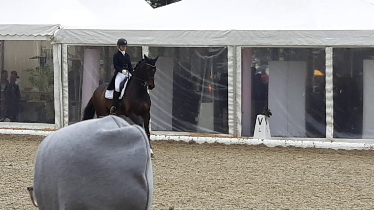 antonia ramel 20190427horsemail 122334