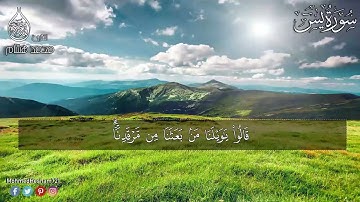 سورة يس  كاملة   القارئ محمد هشام Surah yaseen