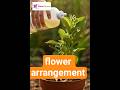 “Make Your Flowers Bloom Faster — Simple Natural Hack!” #aestheticflowers #floralseries #flower