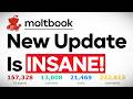 Moltbook is INSANE!