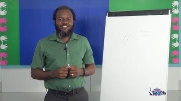 Maths 2 Class: Parallel Lines