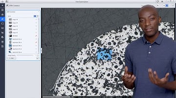 ZEN Connect: Images and data put in context