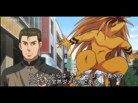 Ushio To Tora Qartulad | უშიო და ტორა ქართულად [S1Ep4]