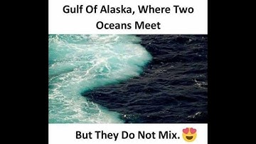 Live Video Where Two oceans meet but not mix || Gulf of alaska ||Pablyclub