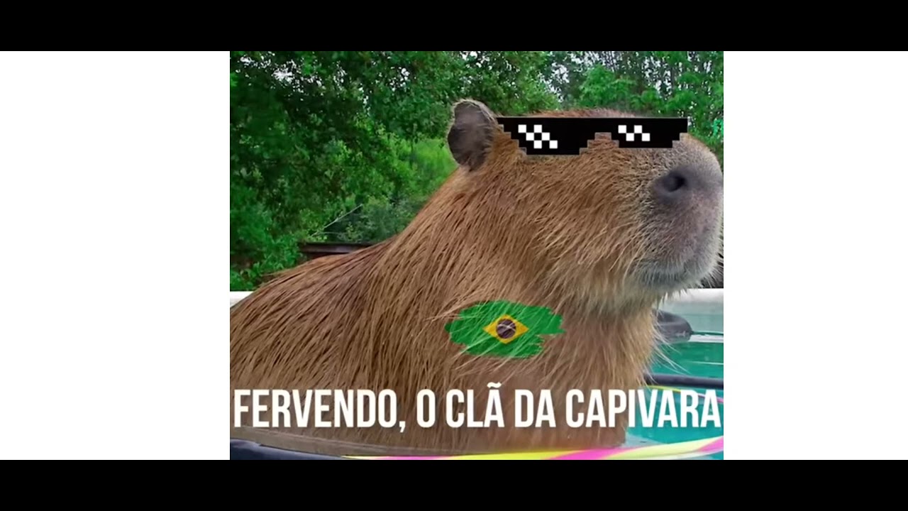 A CAPIVARA É O BICHO MAIS LEGAL - ANIMAÇÃO (@cartoonsbiel8538) 