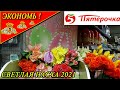 5-ПЯТЁРОЧКА  к Светлой Пасхе 2021