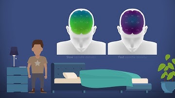 Video Abstract SHORT - Developmental Science - Hahn et al., 2018