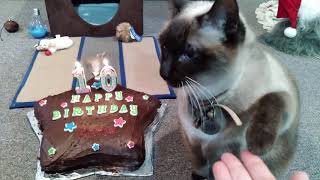 Kilala's 10th Birthday Party by Kilala Marie Noel 1,722 views 3 years ago 4 minutes, 18 seconds