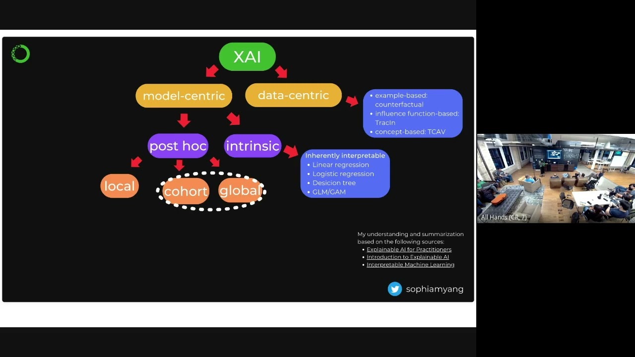 Sophia Yang: AI explainability